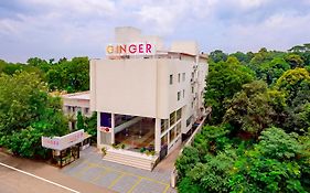 Ginger Bhavnagar